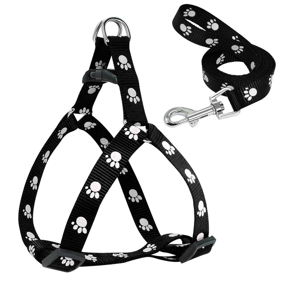 Printed Dog Leash - Haven & Paw