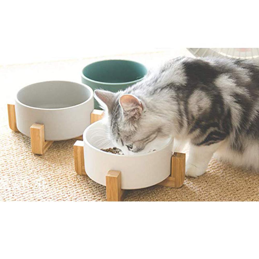 Ceramic Pet Bowl with Wooden Stand and Noodle Bowl - Haven & Paw