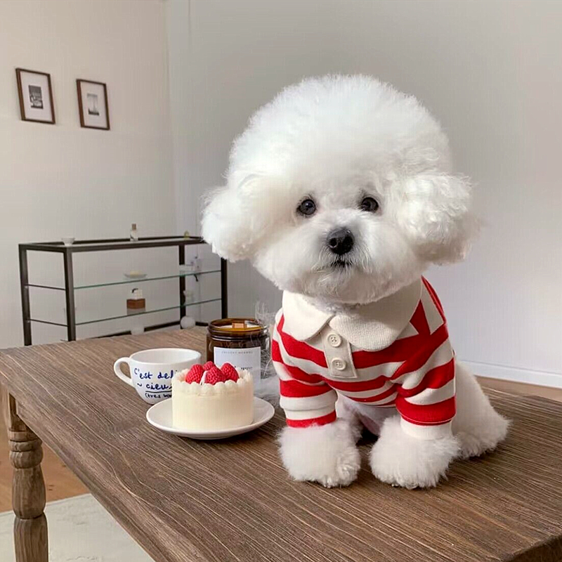 Summer Polo Dog Clothes - Haven & Paw