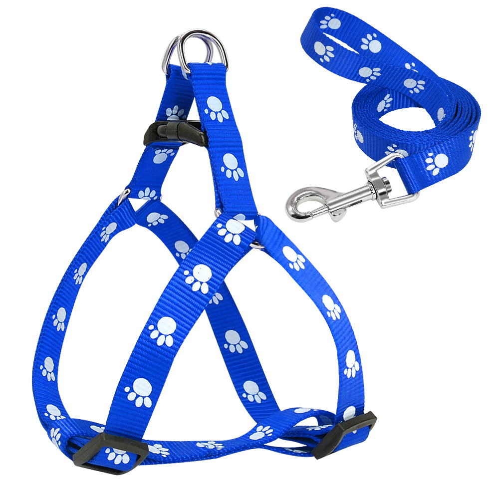 Printed Dog Leash - Haven & Paw