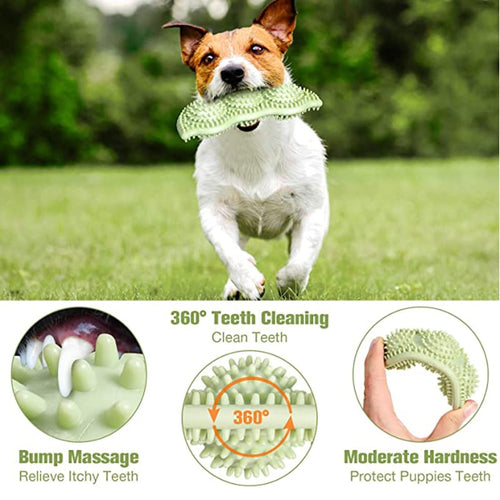 Bite-Resistant Dog Toy Ball for Interactive Chewing - Haven & Paw