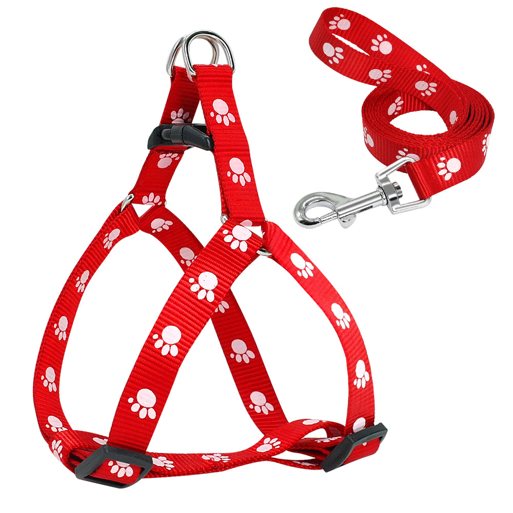 Printed Dog Leash - Haven & Paw