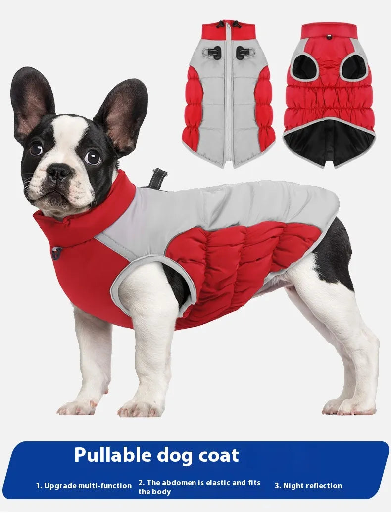 Windproof Winter Pet Clothes - Haven & Paw