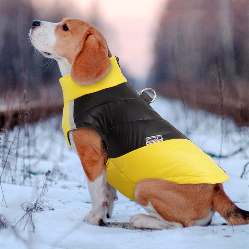Waterproof Reflective Dog Clothes - Haven & Paw