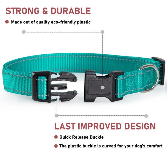 Adjustable Chest Strap Dog Collar - Haven & Paw