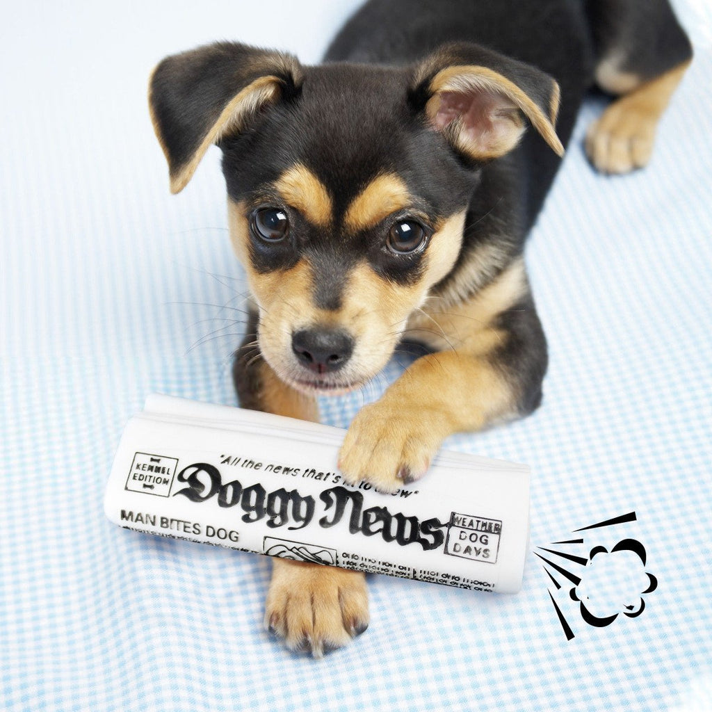 Squeaky Dog Toy - Newspaper Chew Training Toy - Haven & Paw