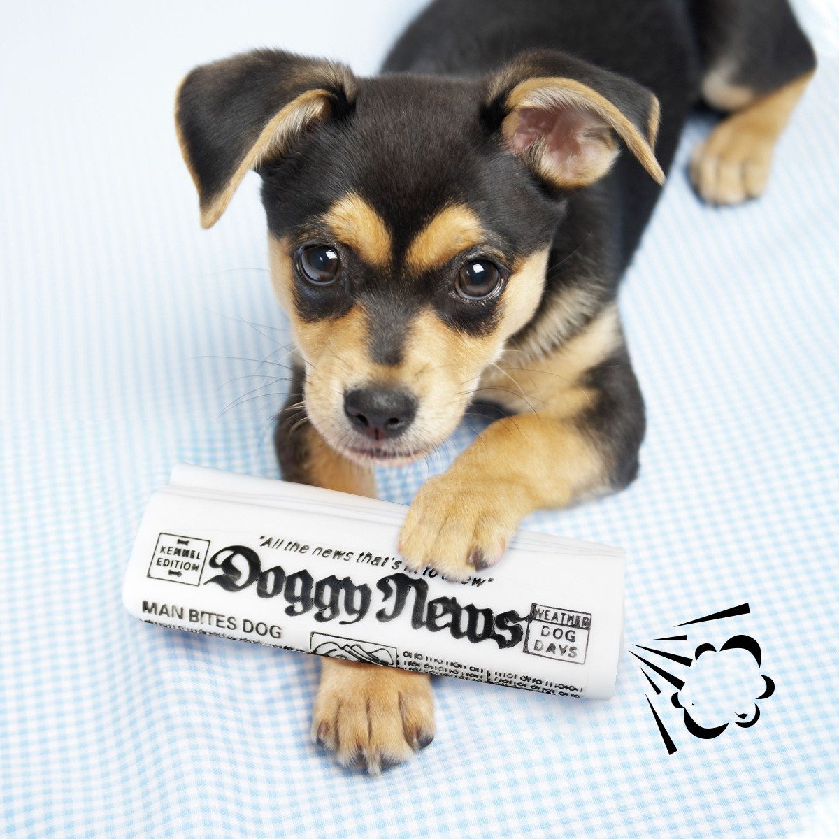 Squeaky Dog Toy - Newspaper Chew Training Toy - Haven & Paw