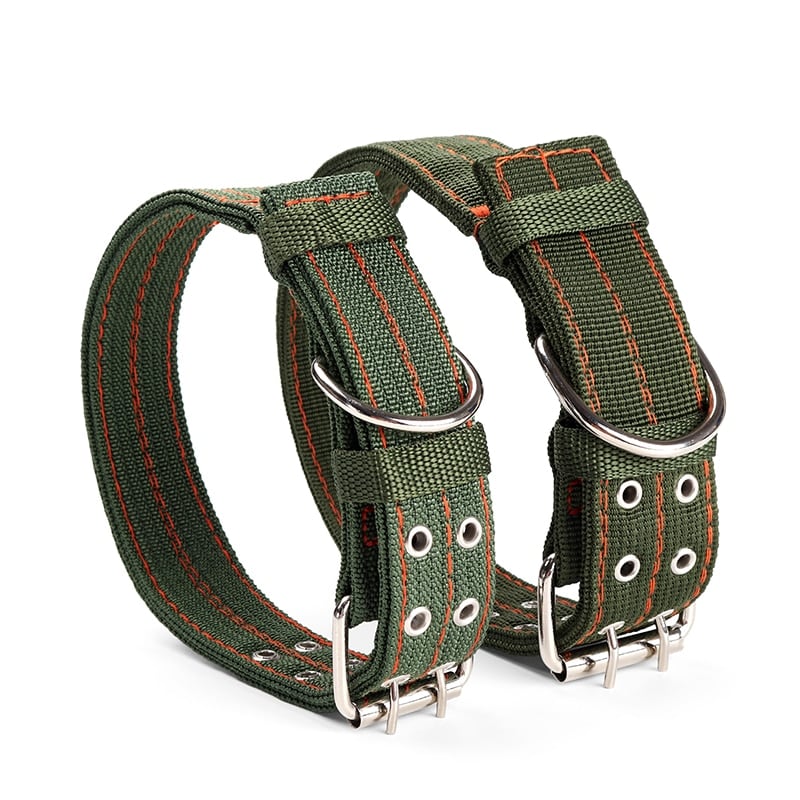 Dog Collar - Haven & Paw