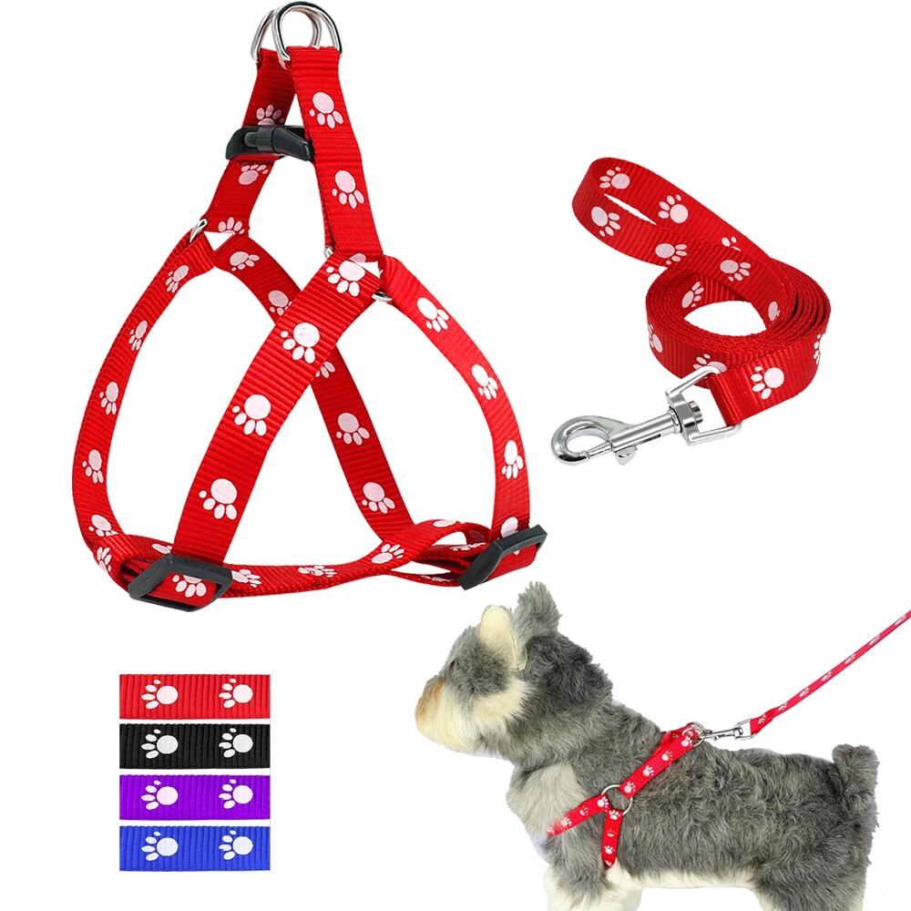 Printed Dog Leash - Haven & Paw