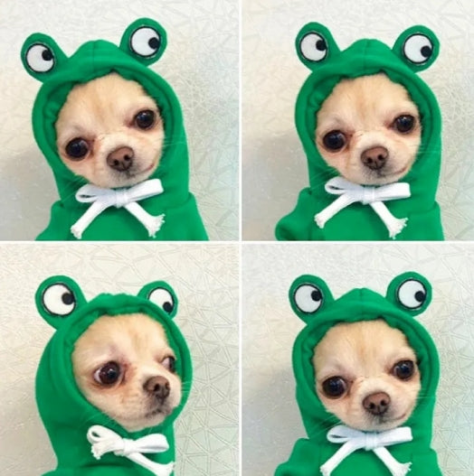 Cute Dog Clothes - Haven & Paw