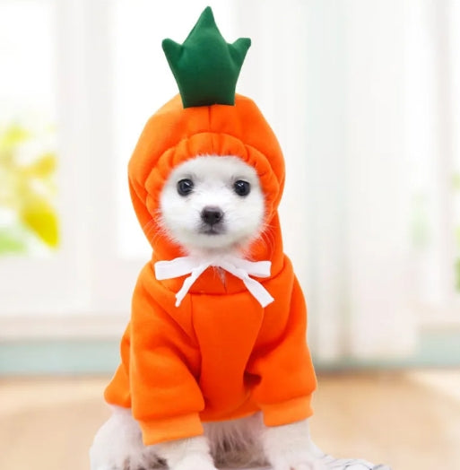 Cute Dog Clothes - Haven & Paw