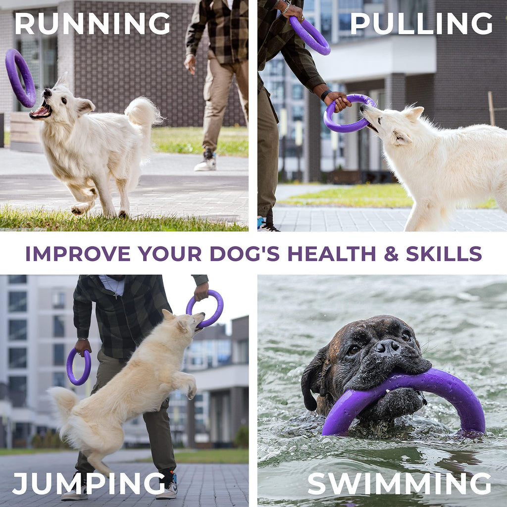 Puller Outdoor Dog Ring Toys Dog Fetch for Large Dogs Standard Size 2 Rings - Haven & Paw