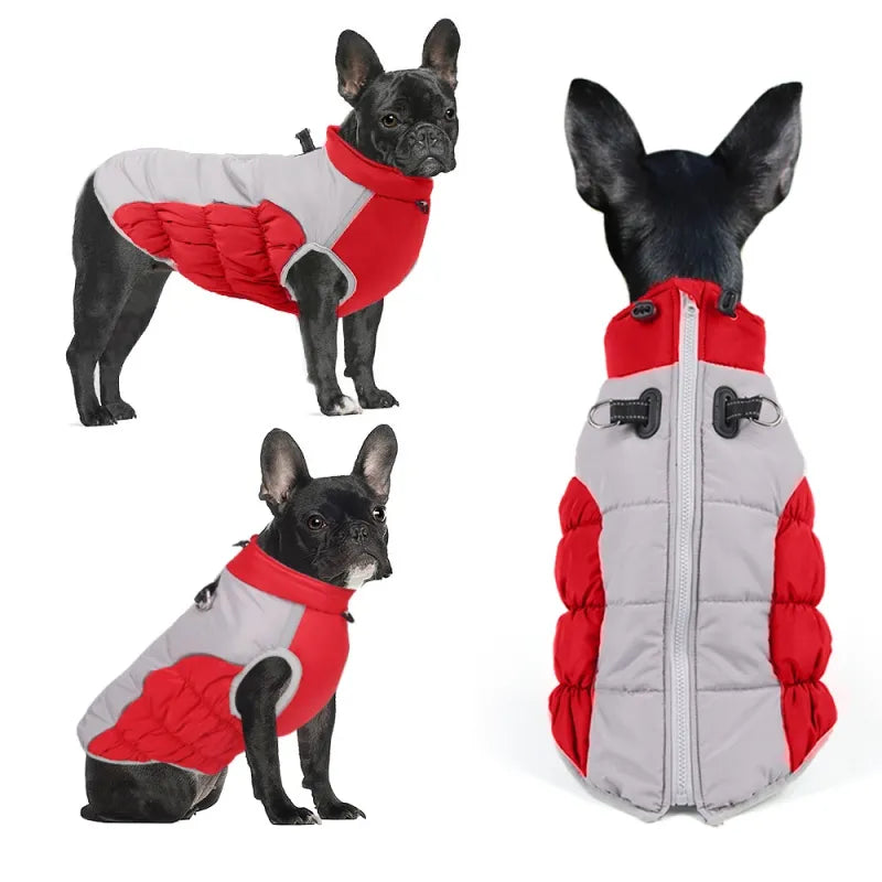 Windproof Winter Pet Clothes - Haven & Paw