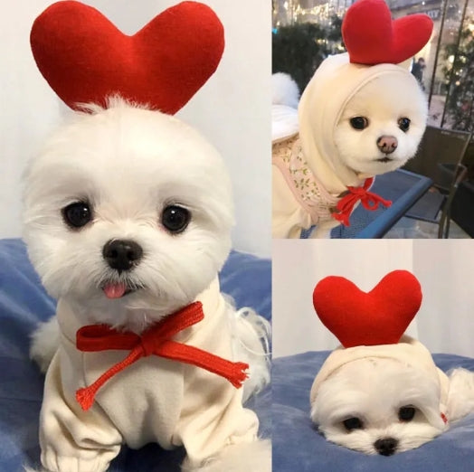 Cute Dog Clothes - Haven & Paw