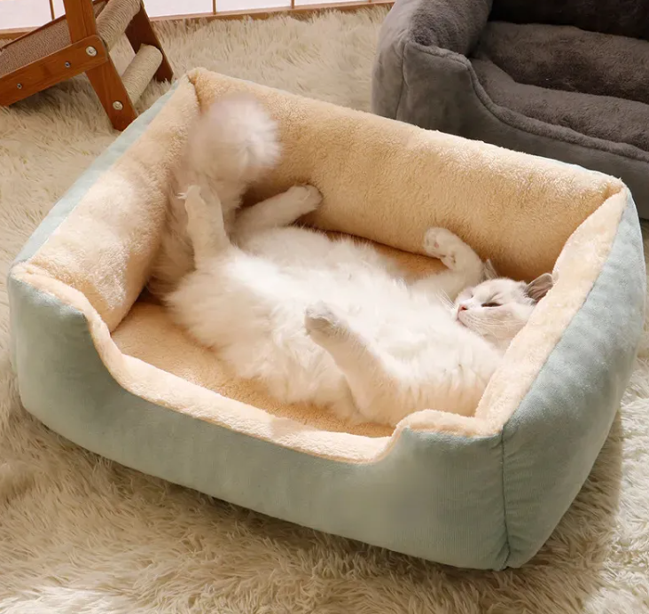 All-in-One Cat and Dog Bed - Haven & Paw