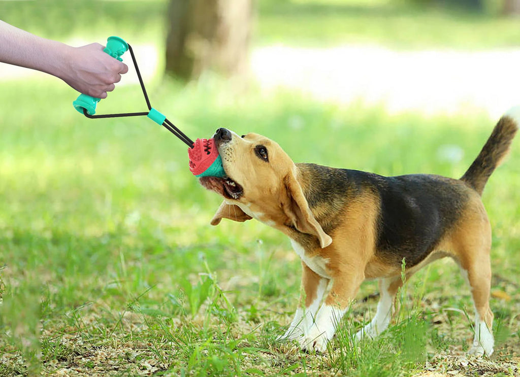 Dog Toy, Tug Rope Toy, Training Ball - Haven & Paw