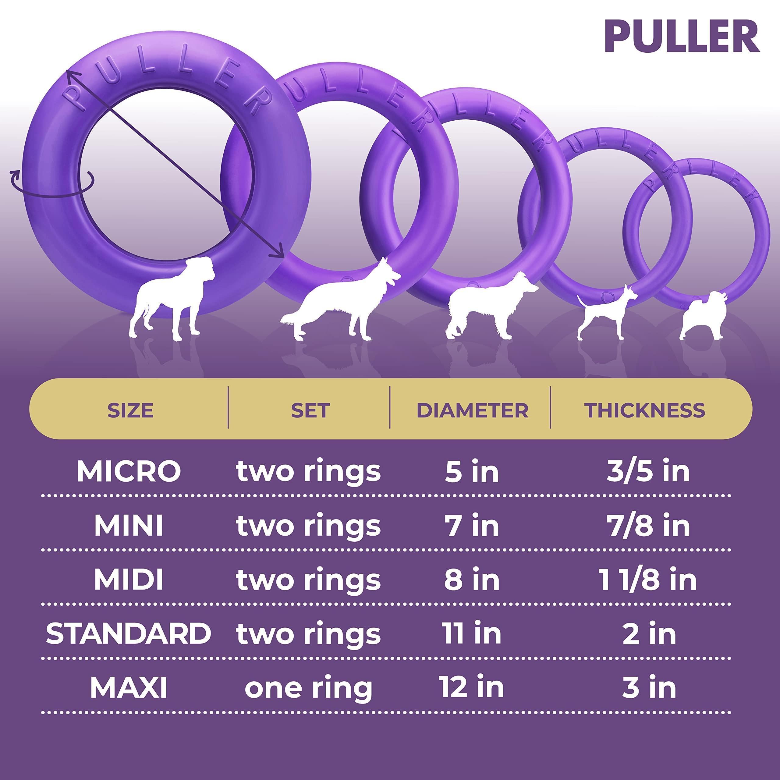 Puller Outdoor Dog Ring Toys Dog Fetch for Large Dogs Standard Size 2 Rings - Haven & Paw