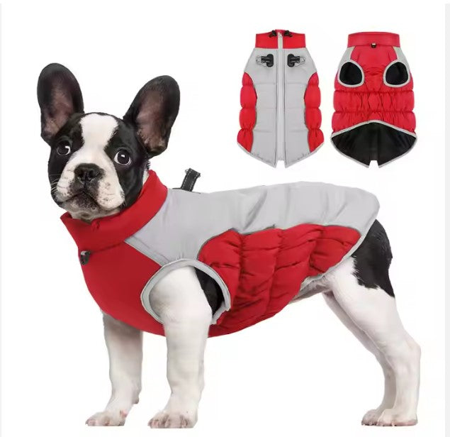 Windproof Winter Pet Clothes - Haven & Paw