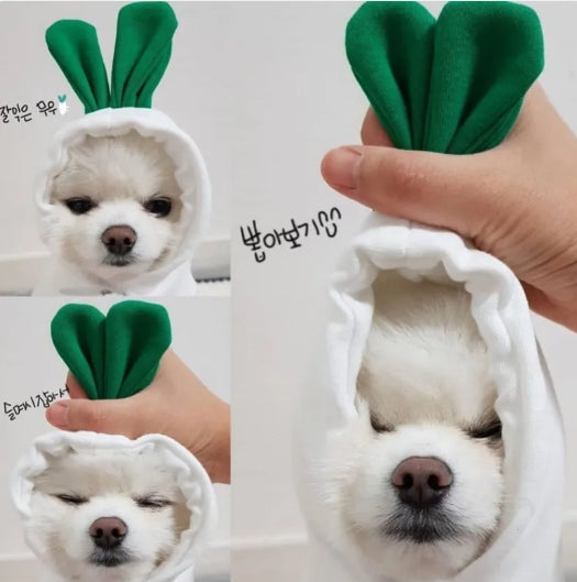 Cute Dog Clothes - Haven & Paw