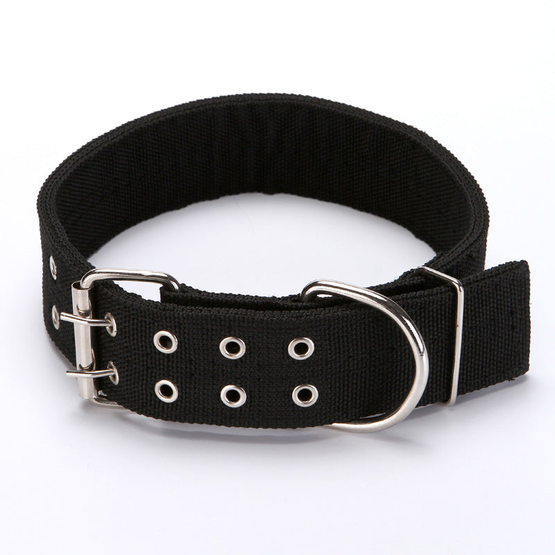 Dog Collar - Haven & Paw