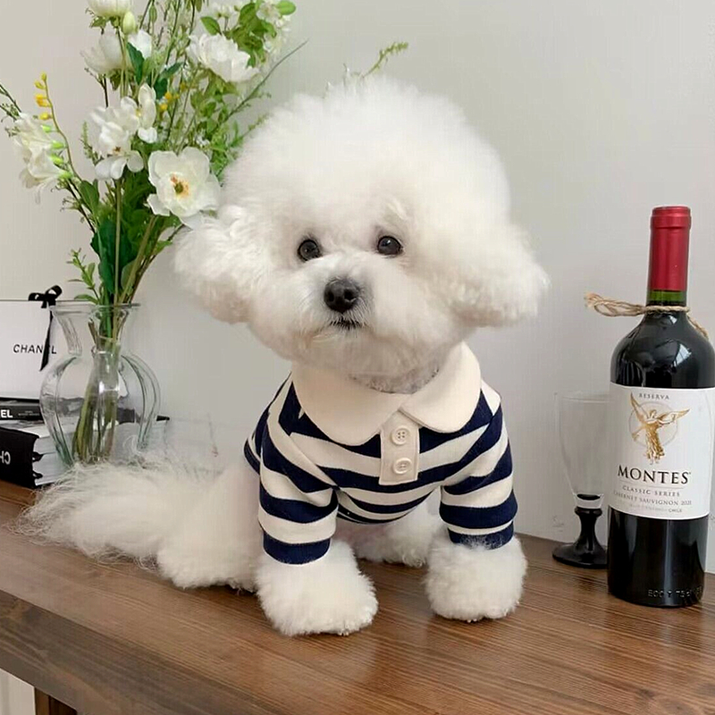 Summer Polo Dog Clothes - Haven & Paw