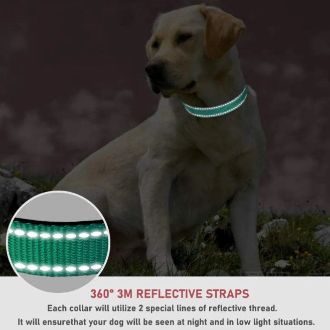 Adjustable Chest Strap Dog Collar - Haven & Paw