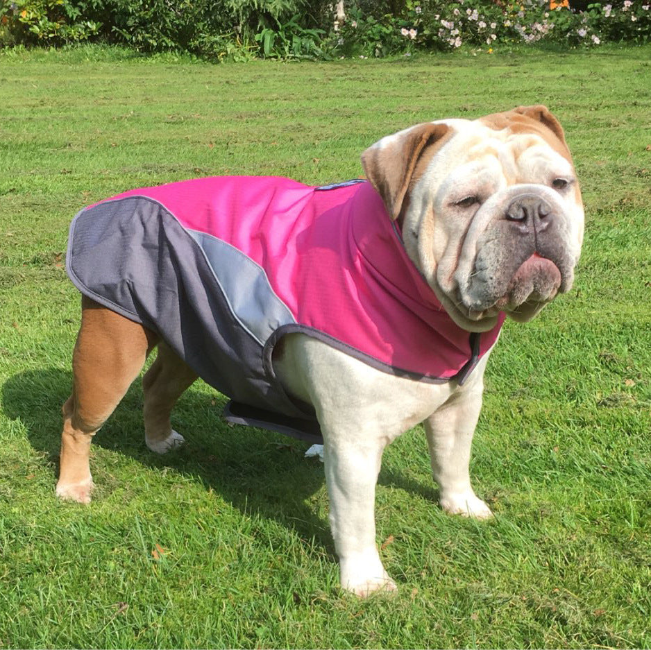 Waterproof Outdoor Pet Raincoat and Insulated Jacket - Haven & Paw